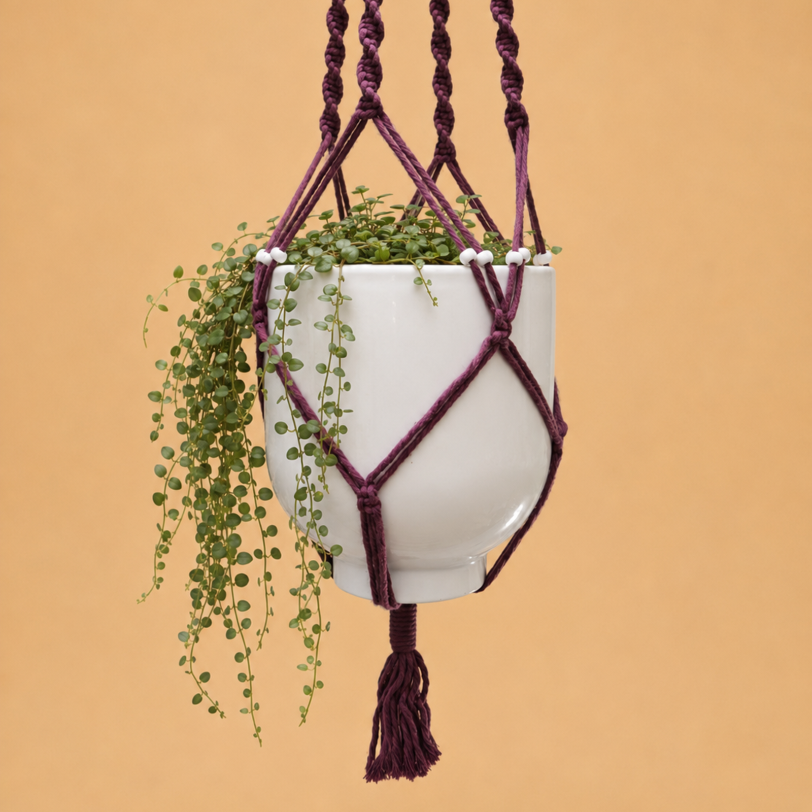 Macramé suspendu